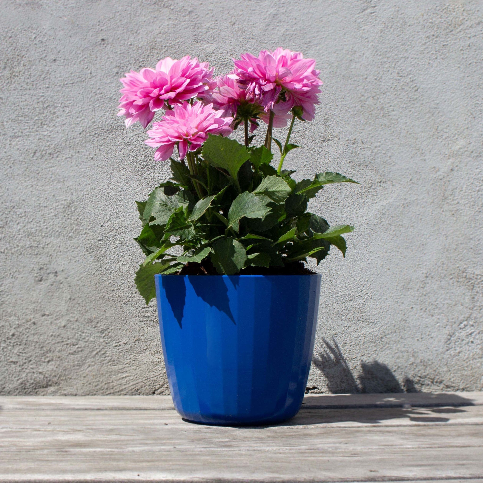 Berta Flowerpot