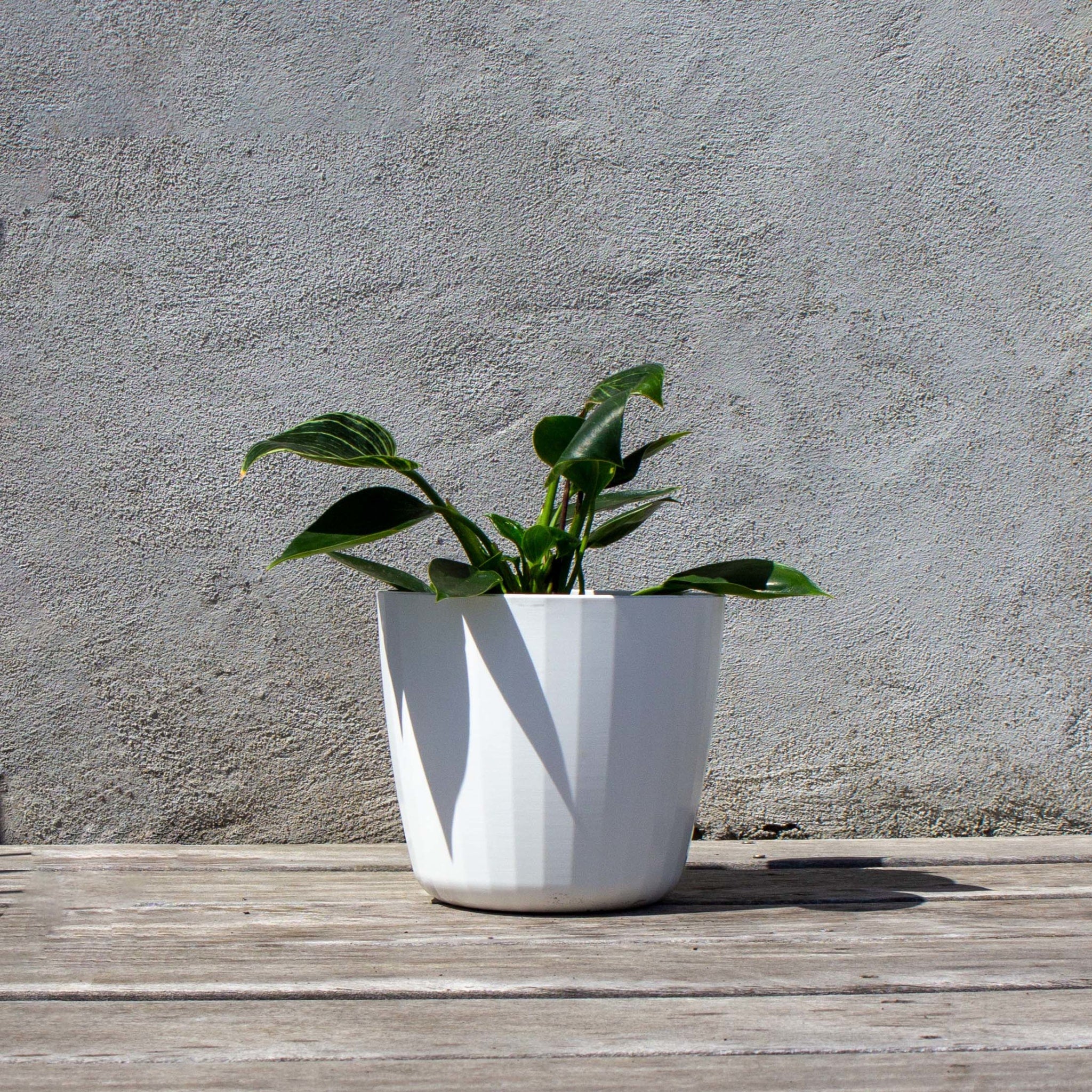 Berta Flowerpot