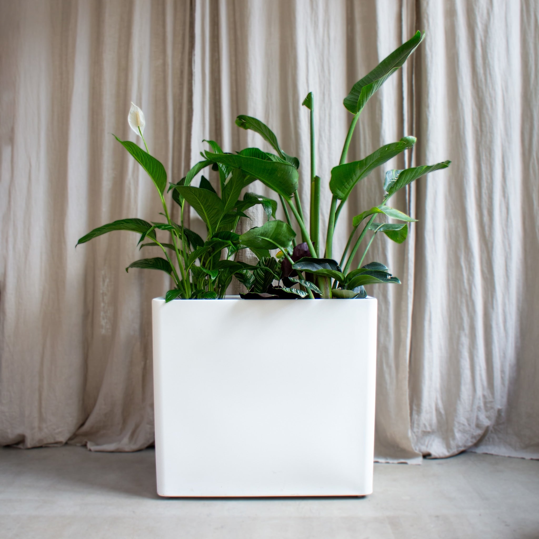 Isa Plant box - White