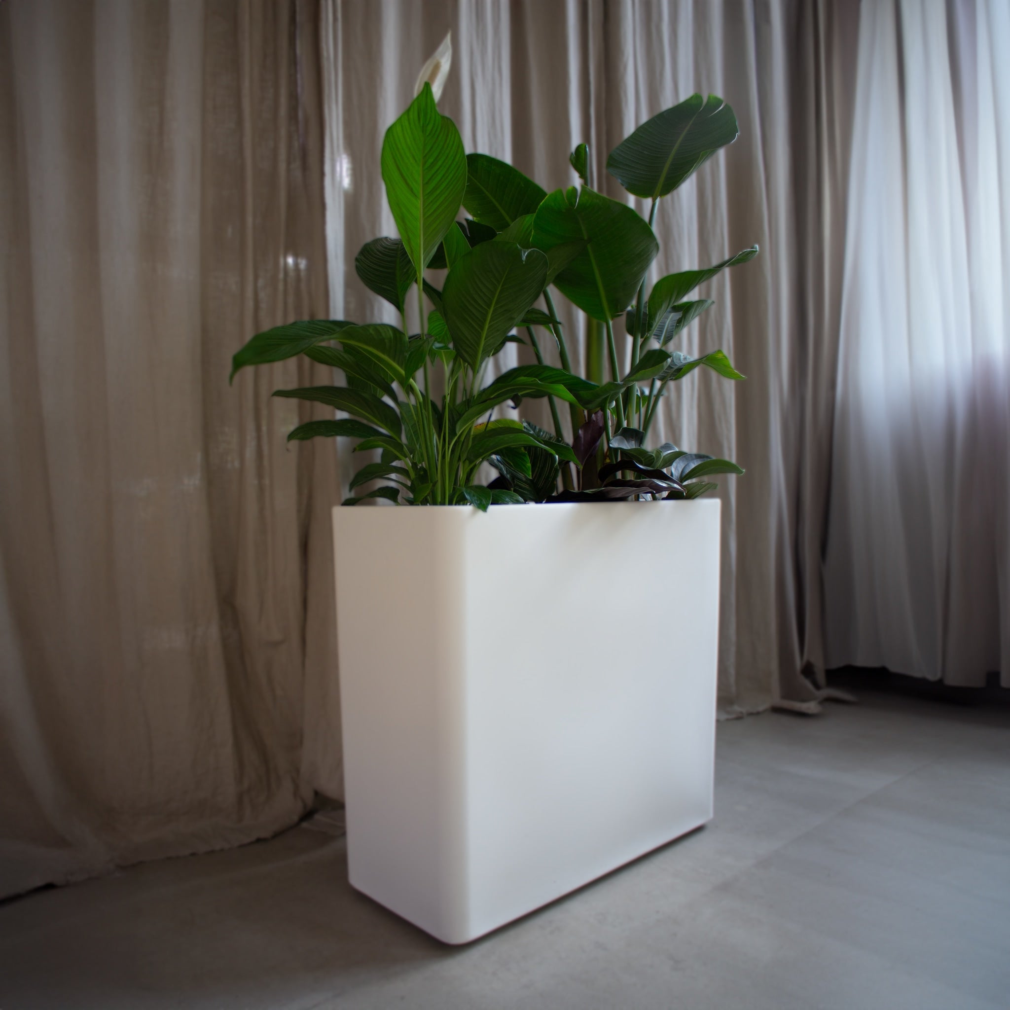 Isa Plant box - White