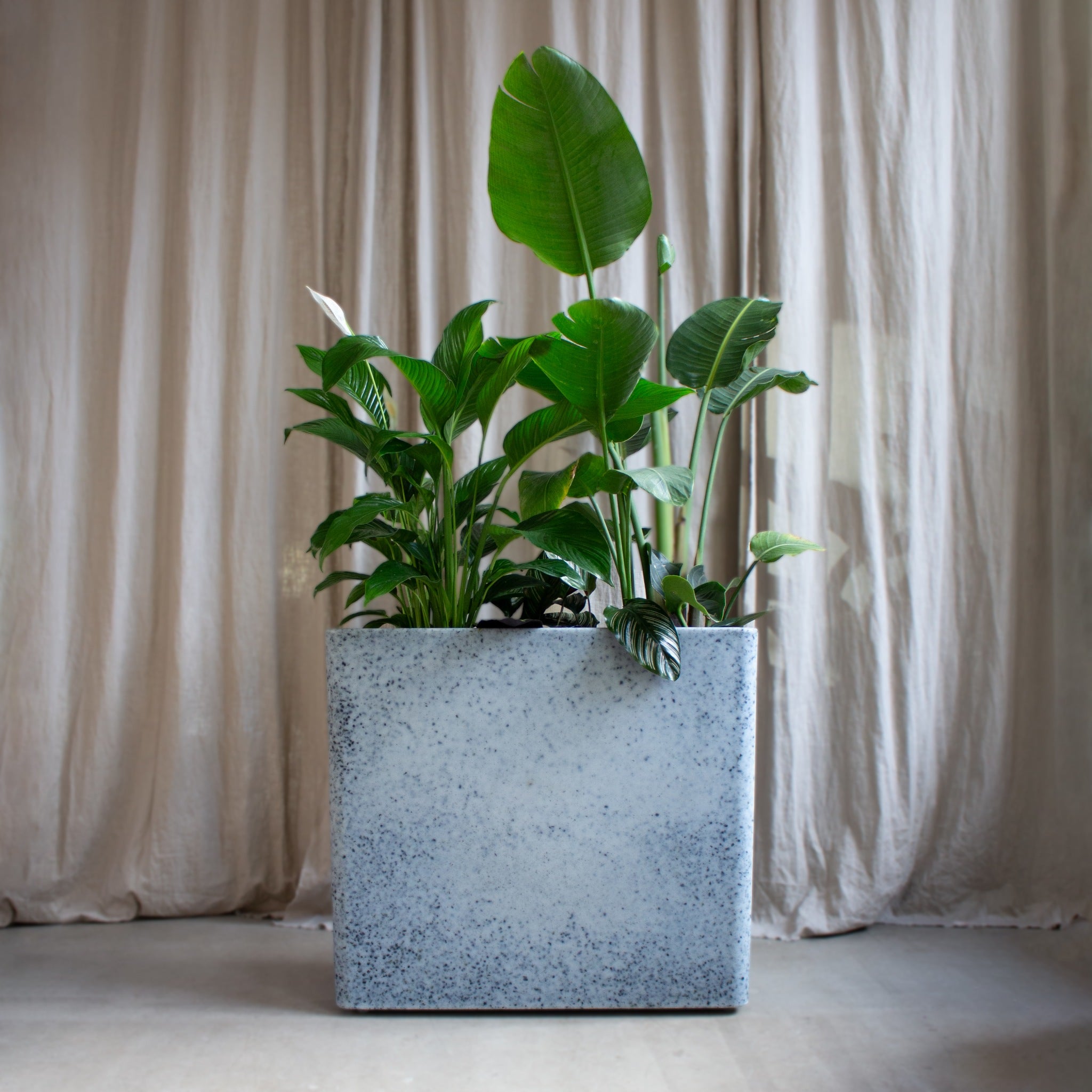 Isa Plant box - Winter